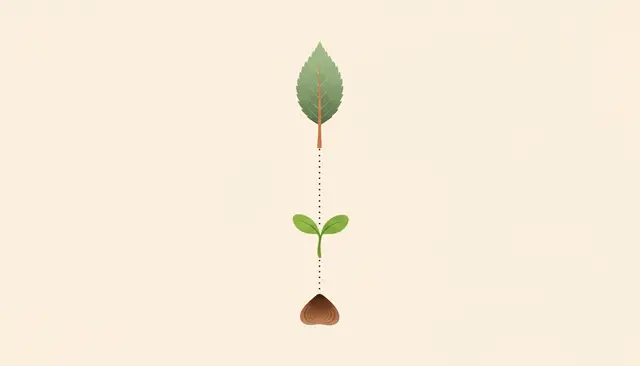 Step-by-step checklist with progress indicators