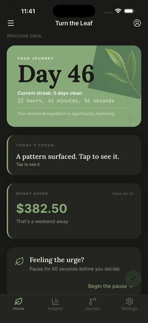 Cannabis quit tracker home screen with day counter, current streak, money saved calculator, and craving pause button