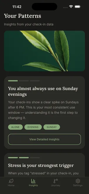 Cannabis craving pattern insights showing usage patterns by day of week, time, and emotional context