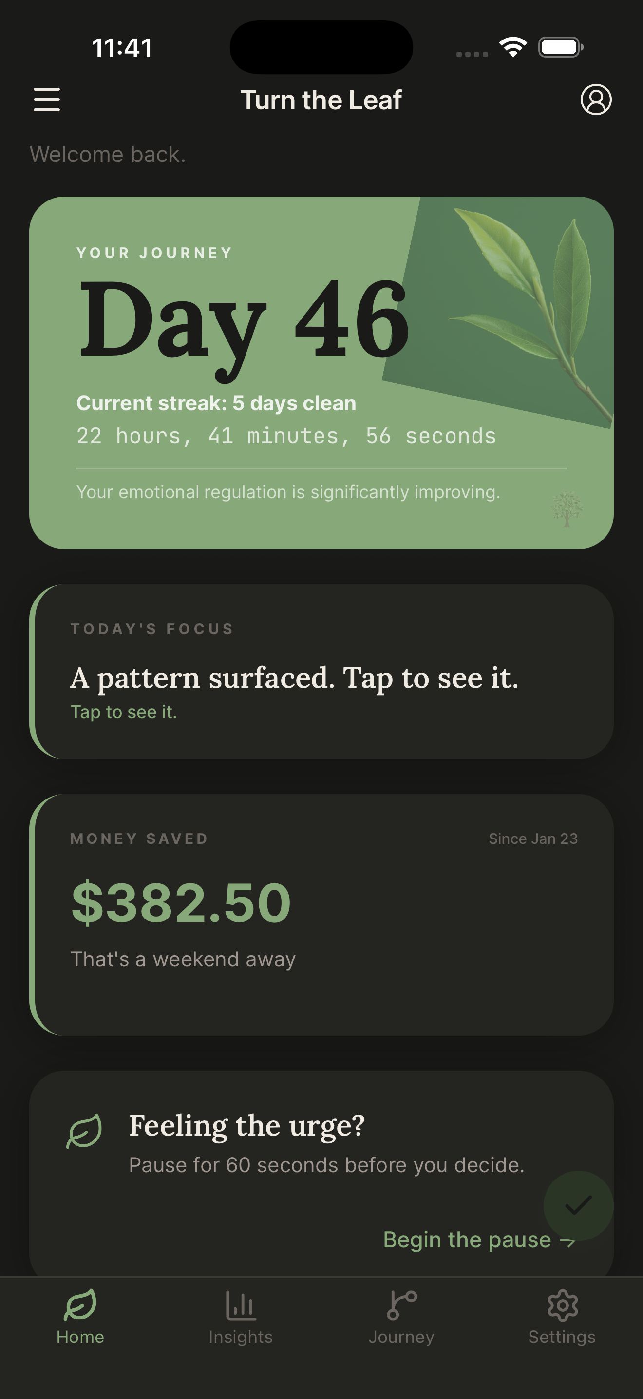 Cannabis quit tracker home screen with day counter, current streak, money saved calculator, and craving pause button